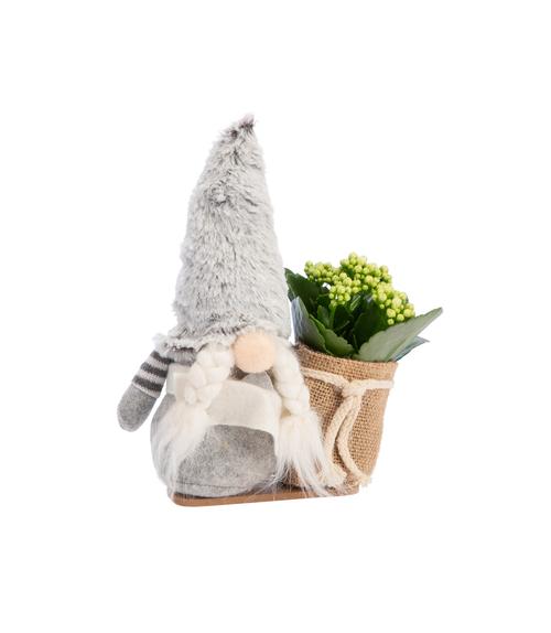 Visuel 2 du produit Kalanchoé et cache pot. 25 cm