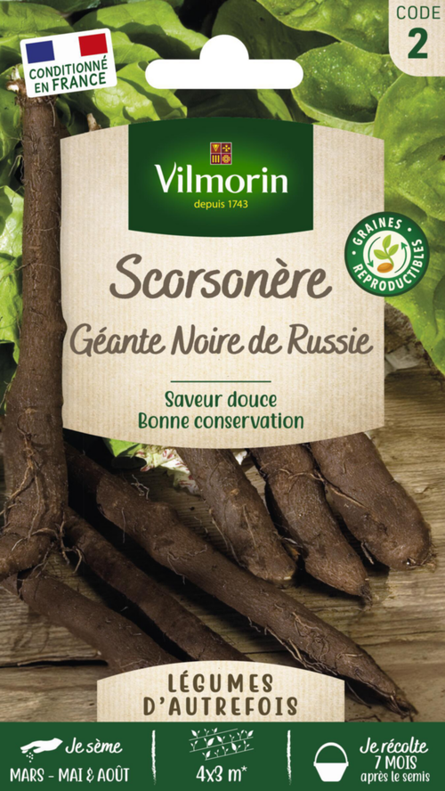 Visuel 1 du produit Scorsonère Géante Noire de Russie Vilmorin - graines à semer