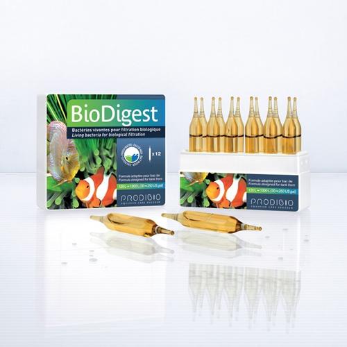 Visuel 2 du produit Boîte d'ampoules Prodibio Biodigest - x 12