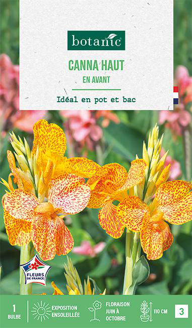 Visuel 1 du produit Bulbe de fleurs Canna haut En avant botanic® - 1 bulbe