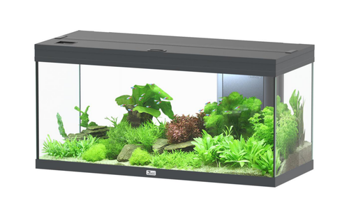 Visuel 1 du produit Aquarium coloris gris Aquatlantis Volga LED 2.0 180 L - 103 x 42 x 51 cm