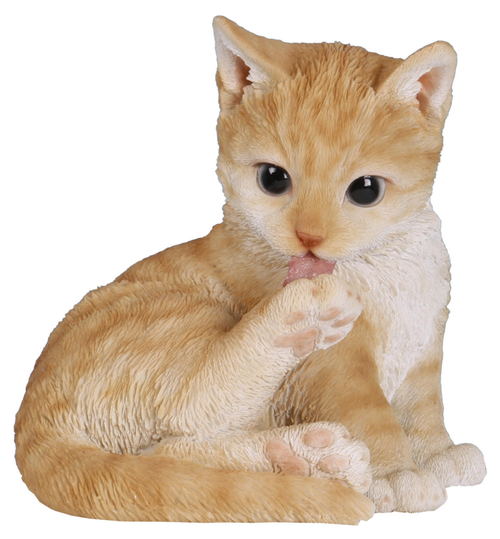 Visuel 1 du produit Figurine en résine chat roux se léchant la patte Riviera - 14 cm