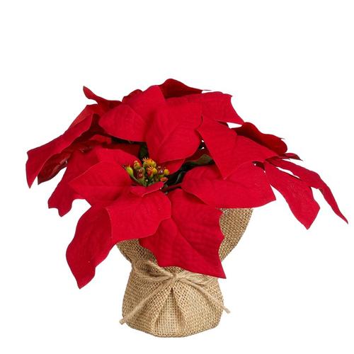 Visuel 1 du produit Poinsettia artificiel rouge en pot avec toile de jute - Ø 22 x H 20 cm