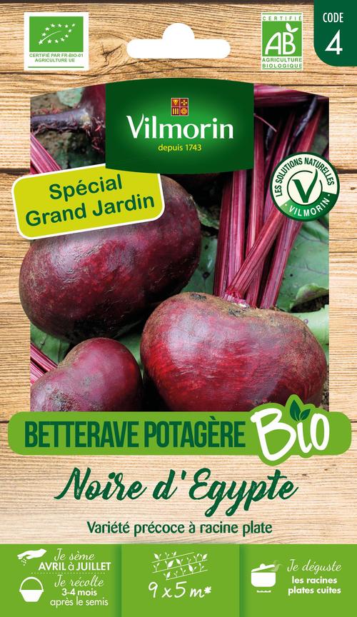 Visuel 2 du produit Graines de betterave Egypte bio coloris rose Vilmorin jardin - graines à semer