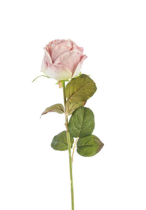 Visuel 1 du produit Fleur artificielle en papier tige de rose coloris blanc - H 44 cm