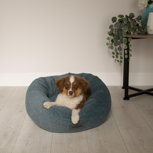 Visuel 6 du produit Corbeille pour chien coloris vert Scruffs Oslo Donut – Taille 2XL