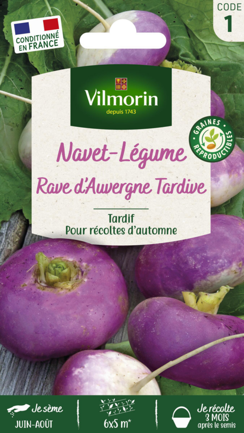 Visuel 1 du produit Navet Rave d'Auvergne tardif Vilmorin - graines à semer