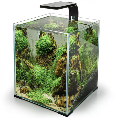Visuel 3 du produit Rampe LED aquarium eau douce, noire, AQUAEL LEDDY Smart - 4,8W,2.0, Jour & Nuit