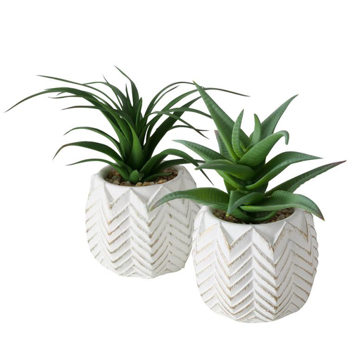 Visuel 1 du produit Plante artificielle en pot blanc - 14 cm