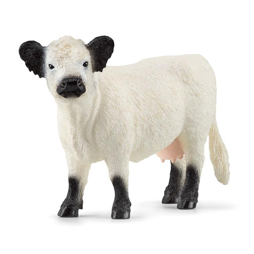 Visuel 1 du produit Vache Galloway multicolore Schleich - 13.3 cm