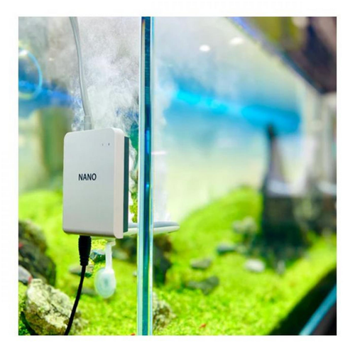 Visuel 3 du produit Stérilisateur nano anti-algues en inox, TWINSTAR - Modèle Nano