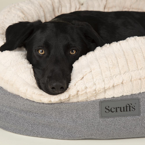 Visuel 3 du produit Couchage pour chien ou chat coloris gris corbeille ronde Scruffs Ellen - Taille M Ø 55 cm