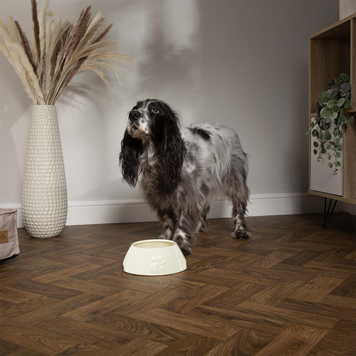 Visuel 3 du produit Gamelle pour chien aux longues oreilles coloris beige en grès Scruffs – 21 x 21 x 8,5 cm