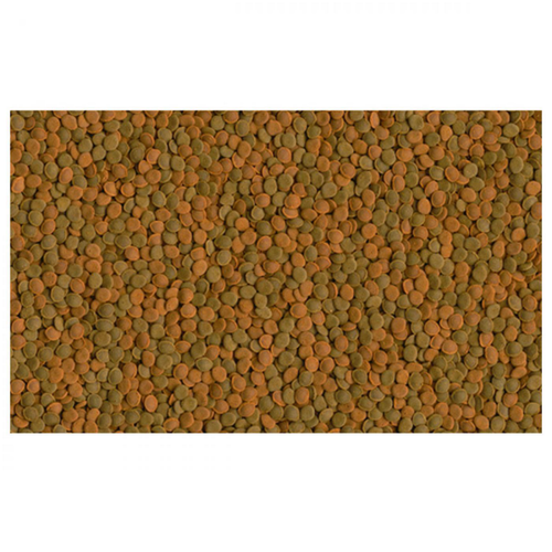 Visuel 4 du produit Nourriture mixte pour poissons, 48g - 100ml, TETRA Wafermix