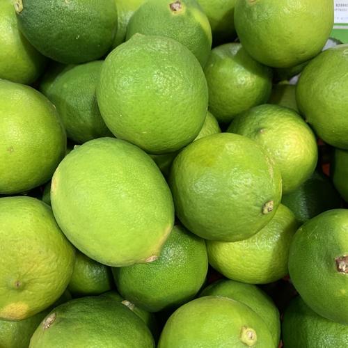 Visuel 1 du produit Lime de Tahiti. Le pot de 5 litres