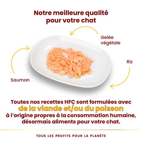 Visuel 3 du produit Pâtée pour chat HFC Jelly au saumon Almo Nature - 70 g