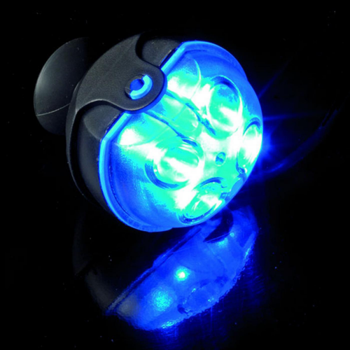 Visuel 4 du produit Spot submersible LED bleu LEDDY Moonlight LED - AQUAEL