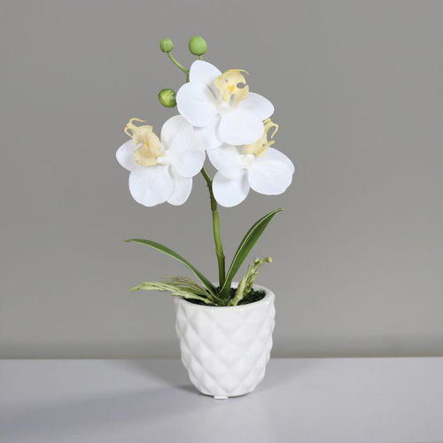 Visuel 1 du produit Orchidée artificielle blanche avec pot en céramique crème – 25 cm
