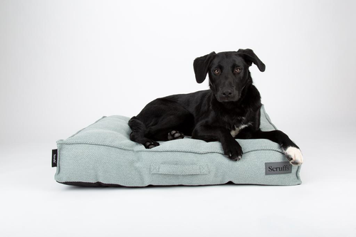 Visuel 3 du produit Couchage pour chien coloris vert coussin Scruffs Seattle - Taille M 80 x 60 x 14 cm