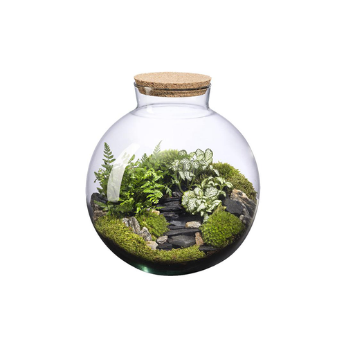 Visuel 1 du produit Terrarium autonome Havana  Landscape botanic® - taille L