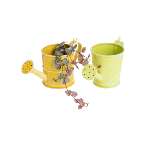 Visuel 2 du produit Petit arrosoir pour baby plantes en métal jaune/vert x 2 - 14 x 7 x 9 cm