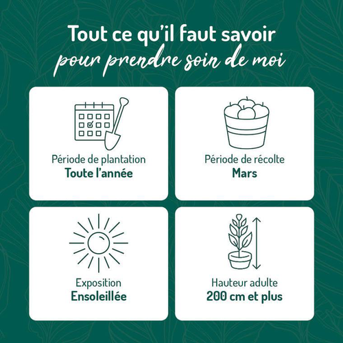 Visuel 2 du produit Combavia bio vert. Le pot de 6 litres