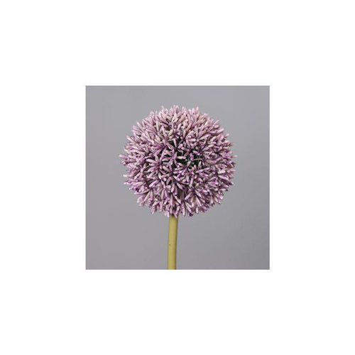 Visuel 1 du produit Allium artificiel H67 cm