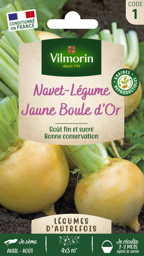 Visuel 1 du produit Navet Jaune Boule d'Or Vilmorin - graines à semer