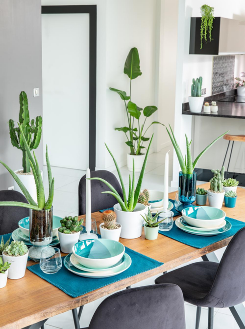 Visuel 2 du produit Oiseau de paradis vert. Le pot Ø 21 cm