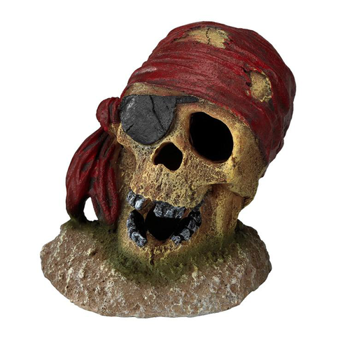 Visuel 1 du produit Décor d’aquarium Crâne de pirate œil bandé - 8 cm