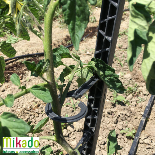 Visuel 3 du produit Tuteur à tomate avec 4 attaches coloris gris  - 180 cm