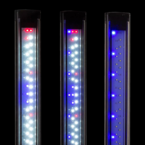Visuel 6 du produit Rampe LED Leddy Slim Duo Sunny & Plant 2.0 Day & Night | Noir 10 W - AQUAEL