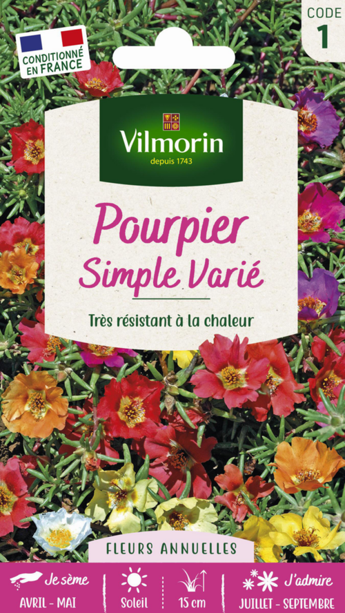 Visuel 1 du produit Pourpier Simple varié Vilmorin - graines à semer