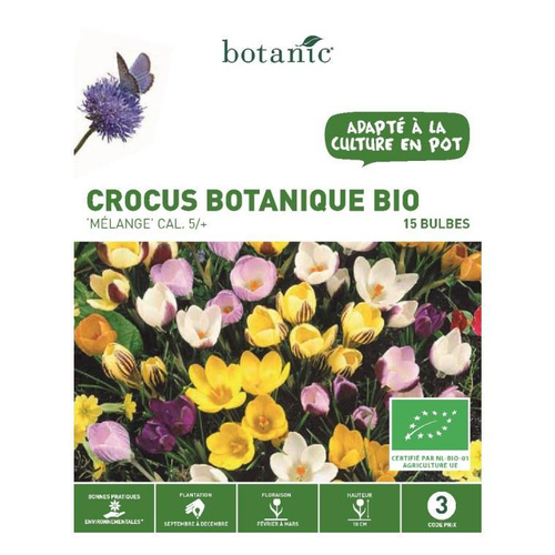 Visuel 1 du produit Crocus en mélange bio botanic® - 15 bulbes