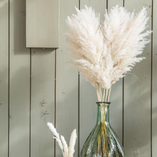 Visuel 2 du produit Tige d'herbe de la Pampa (Cortaderia) blanche Naturalys - 115 cm