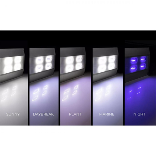 Visuel 8 du produit Rampe LED ultra slim pour aquarium, AQUAEL modèle Ultra Slim 60 - 60 cm