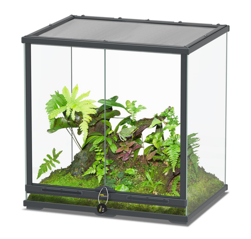 Visuel 1 du produit Terrarium coloris gris anthracite Terratlantis Smartline 60 - 60 x 45 x 60 cm