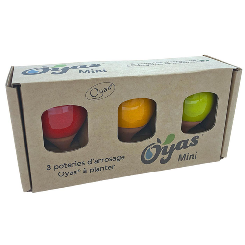 Visuel 1 du produit Oyas à planter mini coloris multicolore