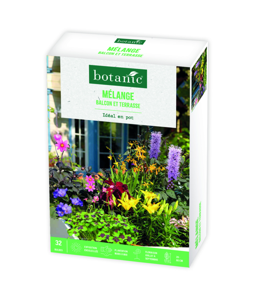 Visuel 1 du produit Boite de bulbes de fleurs en mélange pour balcon et terrasse botanic® – 32 bulbes