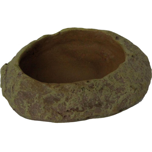 Visuel 1 du produit Bassin ou mangeoire pour terrarium coloris gris Reptile Planet Repti Dish - Taille XS 6 x 1 x 4 cm