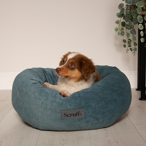 Visuel 5 du produit Corbeille pour chien coloris vert Scruffs Oslo Donut – Taille L