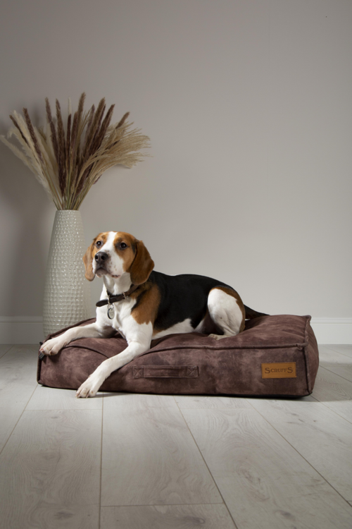 Visuel 5 du produit Coussin pour chien marron Kensington – Taille M