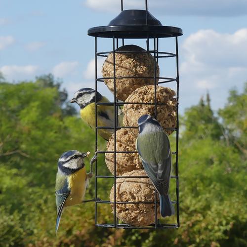 Visuel 3 du produit Mangeoire tube pour boules de graisse