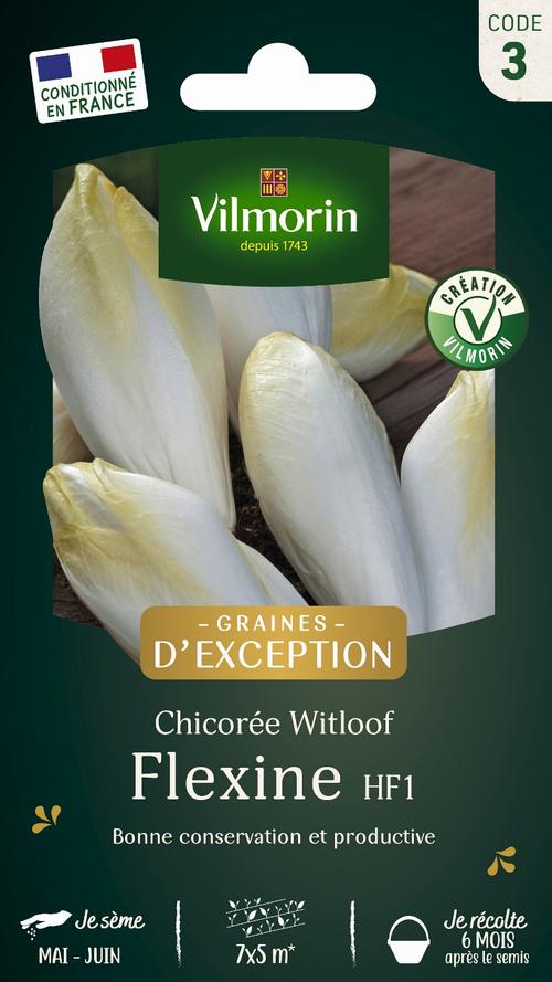 Visuel 1 du produit Graines de chicorée flexine coloris blanc Vilmorin jardin - graines à semer