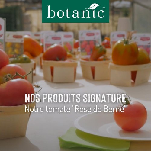 Nos produits signature : La tomate Rose de Berne