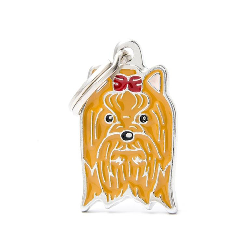 Visuel 1 du produit Médaille friends pour yorkshire en métal