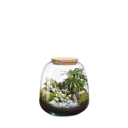 Visuel 1 du produit Terrarium autonome Moly M Landscape botanic®