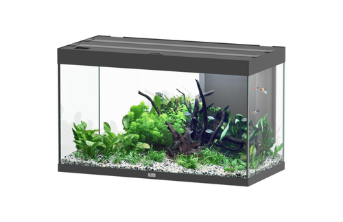 Visuel 1 du produit Aquarium coloris noir Aquatlantis Sublime Ultra LED 2.0 245 L - 100 x 50 x 60 cm