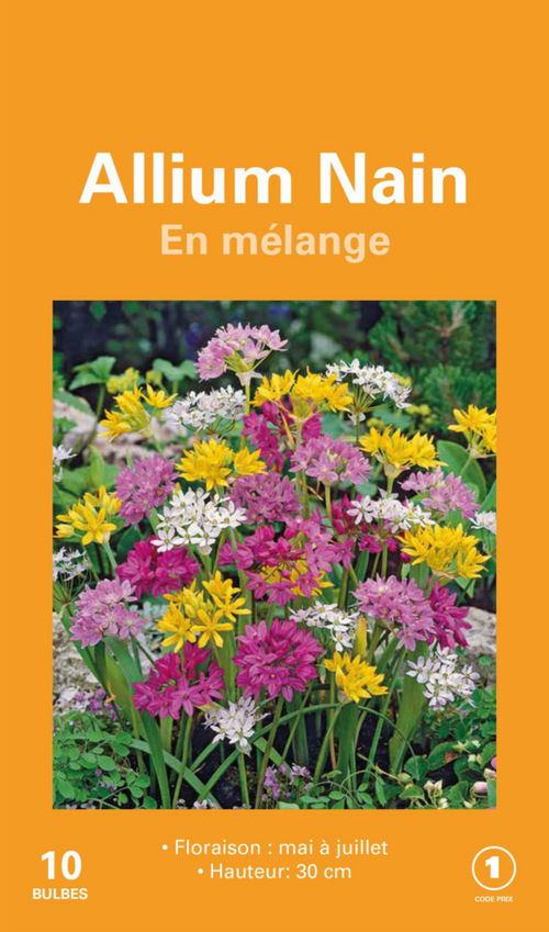 Visuel 1 du produit Allium en mélange botanic® - 10 bulbes