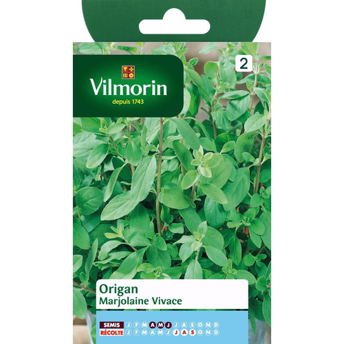 Visuel 1 du produit Origan Marjolaine Vivace Vilmorin - graines à semer